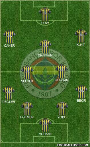 Fenerbahçe SK Formation 2013