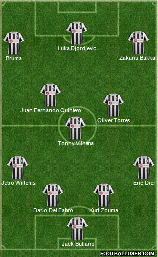 Newcastle United Formation 2013