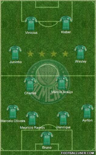 SE Palmeiras Formation 2013