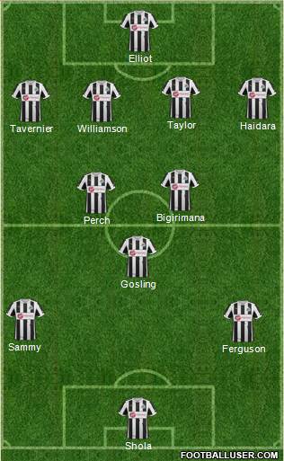 Newcastle United Formation 2013