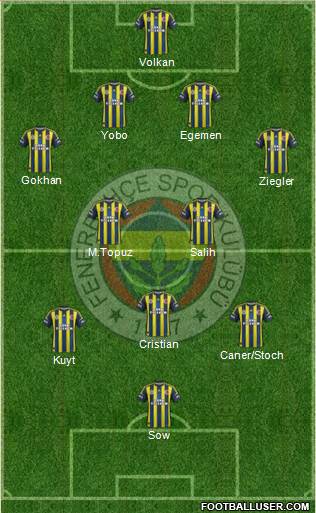 Fenerbahçe SK Formation 2013