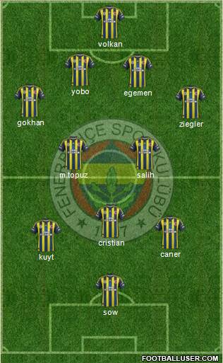 Fenerbahçe SK Formation 2013