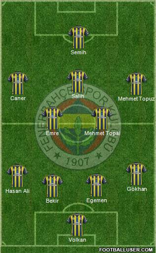 Fenerbahçe SK Formation 2013