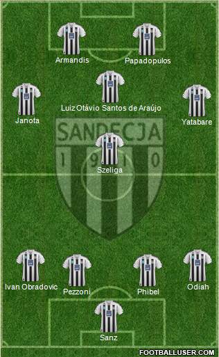 Sandecja Nowy Sacz Formation 2013