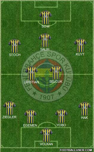 Fenerbahçe SK Formation 2013