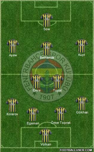 Fenerbahçe SK Formation 2013
