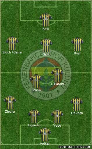 Fenerbahçe SK Formation 2013