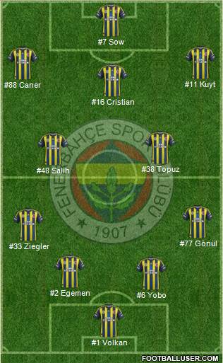 Fenerbahçe SK Formation 2013