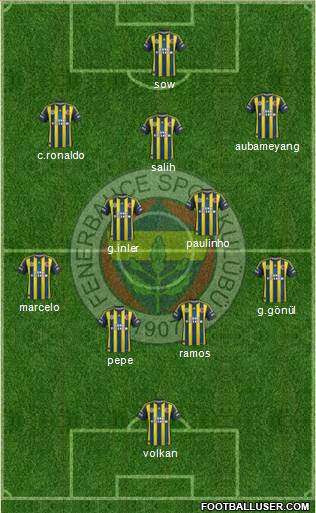 Fenerbahçe SK Formation 2013