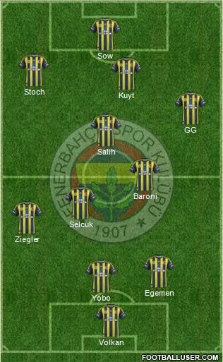 Fenerbahçe SK Formation 2013