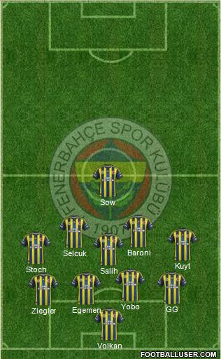 Fenerbahçe SK Formation 2013