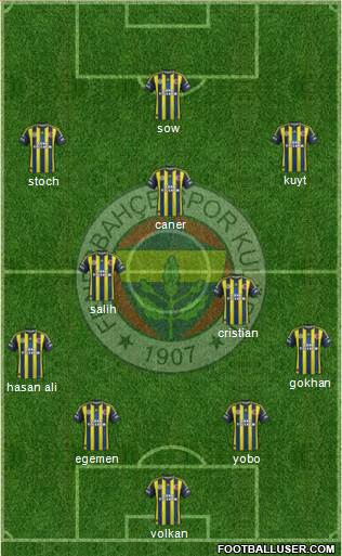Fenerbahçe SK Formation 2013