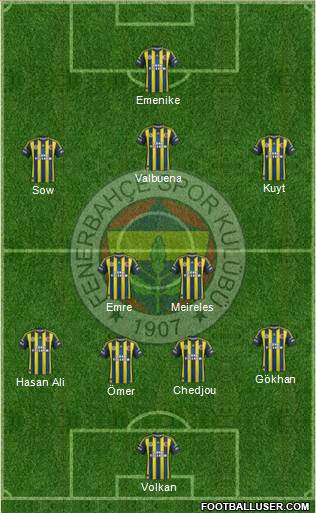 Fenerbahçe SK Formation 2013