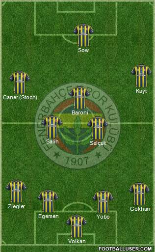 Fenerbahçe SK Formation 2013