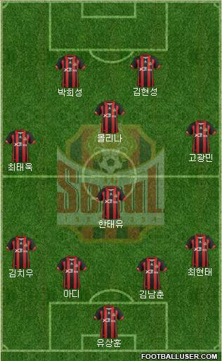 FC Seoul Formation 2013