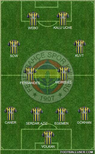 Fenerbahçe SK Formation 2013