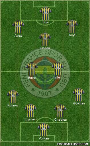 Fenerbahçe SK Formation 2013
