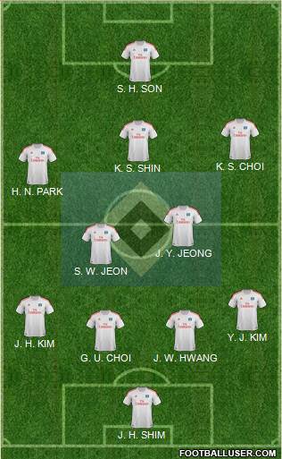Hamburger SV Formation 2013