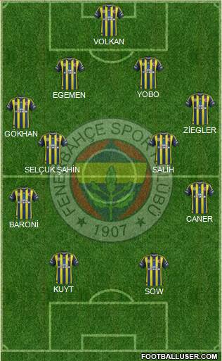 Fenerbahçe SK Formation 2013