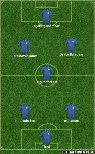 India Formation 2013