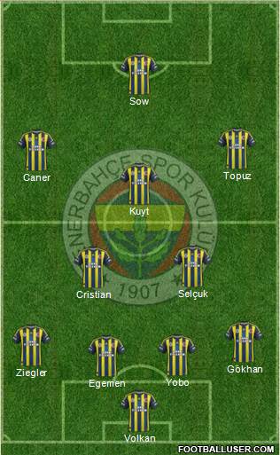 Fenerbahçe SK Formation 2013