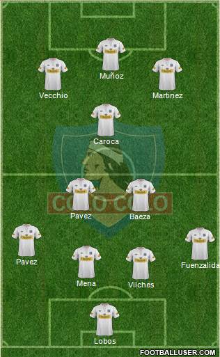 CSD Colo Colo Formation 2013
