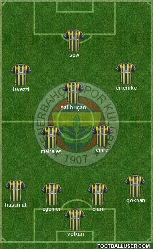 Fenerbahçe SK Formation 2013