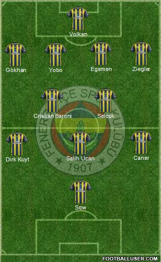 Fenerbahçe SK Formation 2013