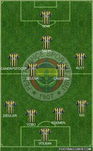 Fenerbahçe SK Formation 2013