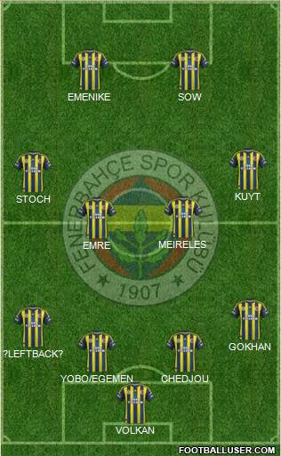 Fenerbahçe SK Formation 2013