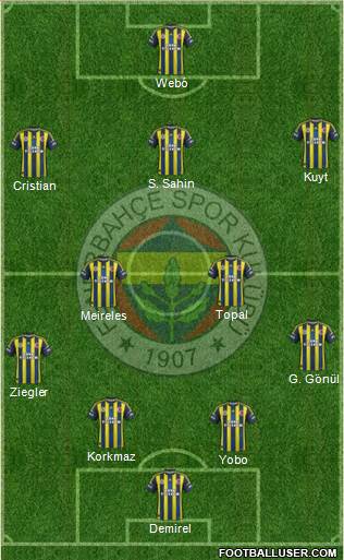 Fenerbahçe SK Formation 2013