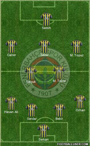 Fenerbahçe SK Formation 2013