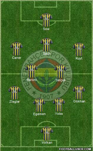 Fenerbahçe SK Formation 2013