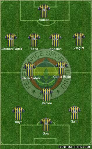 Fenerbahçe SK Formation 2013
