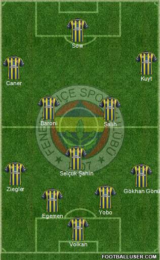 Fenerbahçe SK Formation 2013