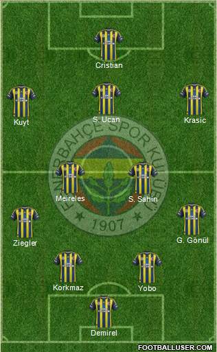 Fenerbahçe SK Formation 2013