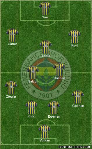 Fenerbahçe SK Formation 2013