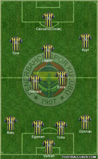 Fenerbahçe SK Formation 2013