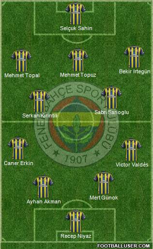 Fenerbahçe SK Formation 2013