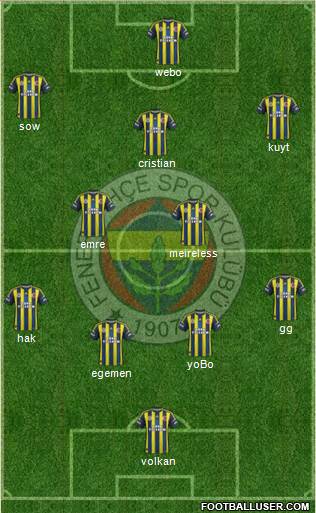 Fenerbahçe SK Formation 2013