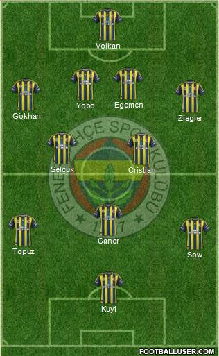 Fenerbahçe SK Formation 2013