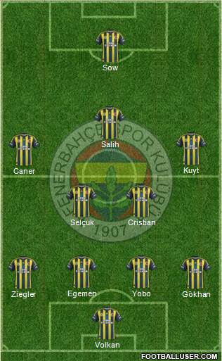 Fenerbahçe SK Formation 2013