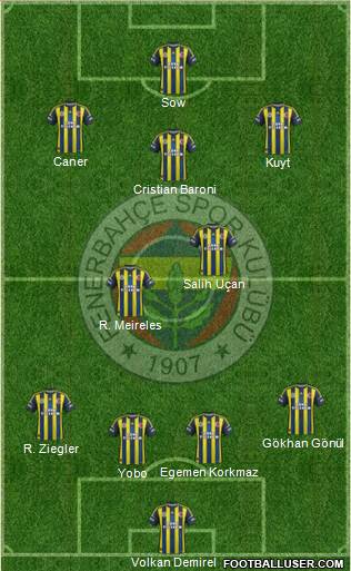 Fenerbahçe SK Formation 2013