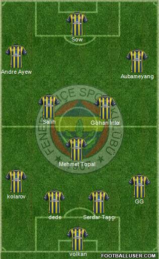 Fenerbahçe SK Formation 2013