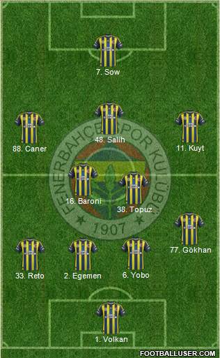 Fenerbahçe SK Formation 2013