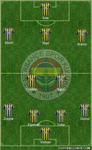 Fenerbahçe SK Formation 2013