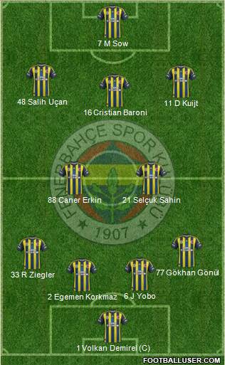 Fenerbahçe SK Formation 2013