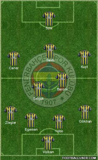 Fenerbahçe SK Formation 2013