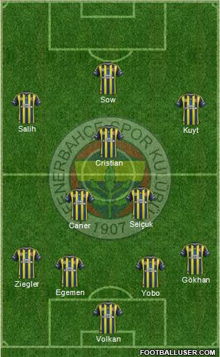 Fenerbahçe SK Formation 2013
