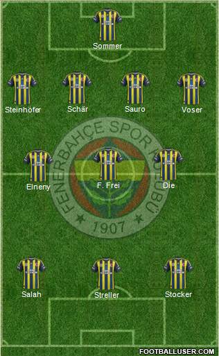 Fenerbahçe SK Formation 2013